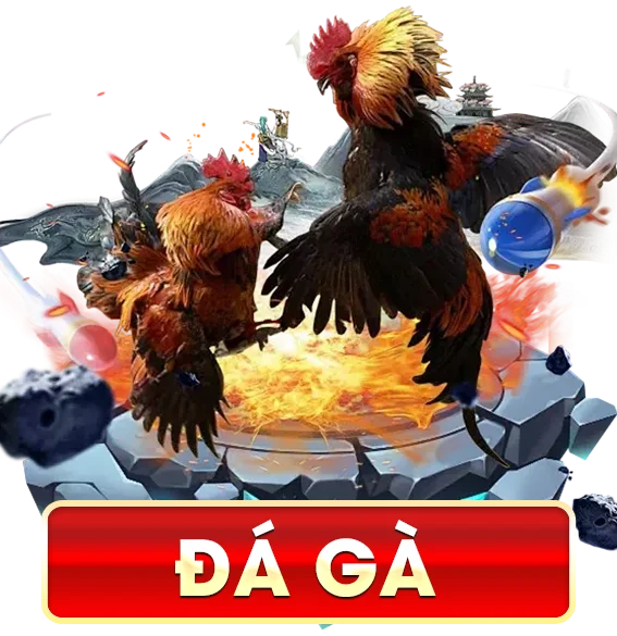ĐÁ GÀ