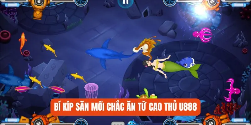 Bí kíp săn mồi chắc ăn từ cao thủ U888