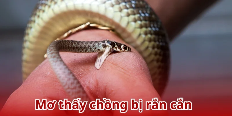 Gia đình sẽ đón nhận niềm vui về tiền tài, sự nghiệp