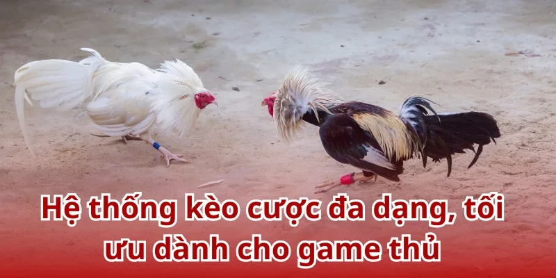 Hệ thống kèo cược đa dạng, tối ưu dành cho game thủ