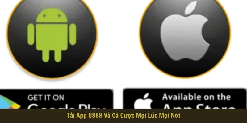 Mọi người hoàn toàn bắt đầu chặng đường giải trí mọi lúc mọi nơi Mọi người hoàn toàn bắt đầu chặng đường giải trí mọi lúc mọi nơi