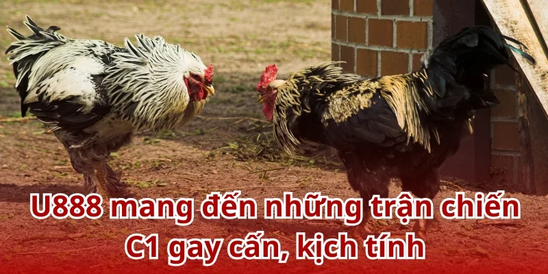 U888 mang đến những trận chiến C1 gay cấn, kịch tính